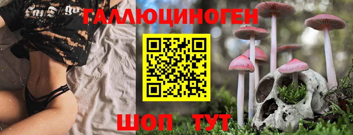 Гусев  Псилоцибиновые грибы MAGIC MUSHROOMS  Вход с VPN 