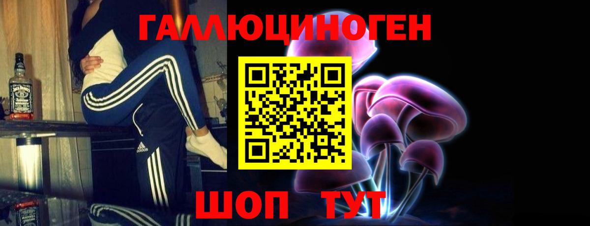 Галлюциногенные грибы Cubensis Гусев